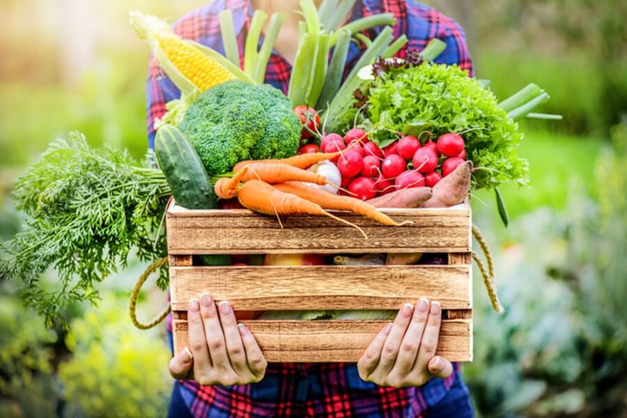 Gather Kitchen Fresh Veggies Hands Gather Kitchen Fresh Veggies Hands